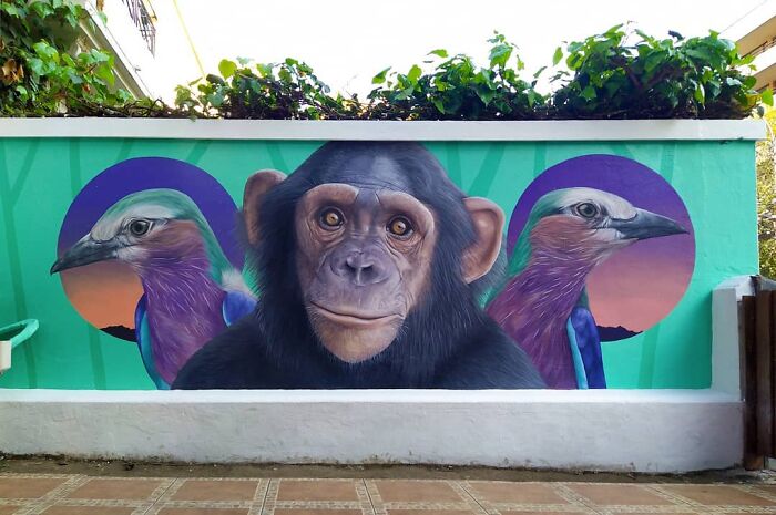 Chilean artist's mural of a chimpanzee flanked by colorful birds on a vibrant wall.