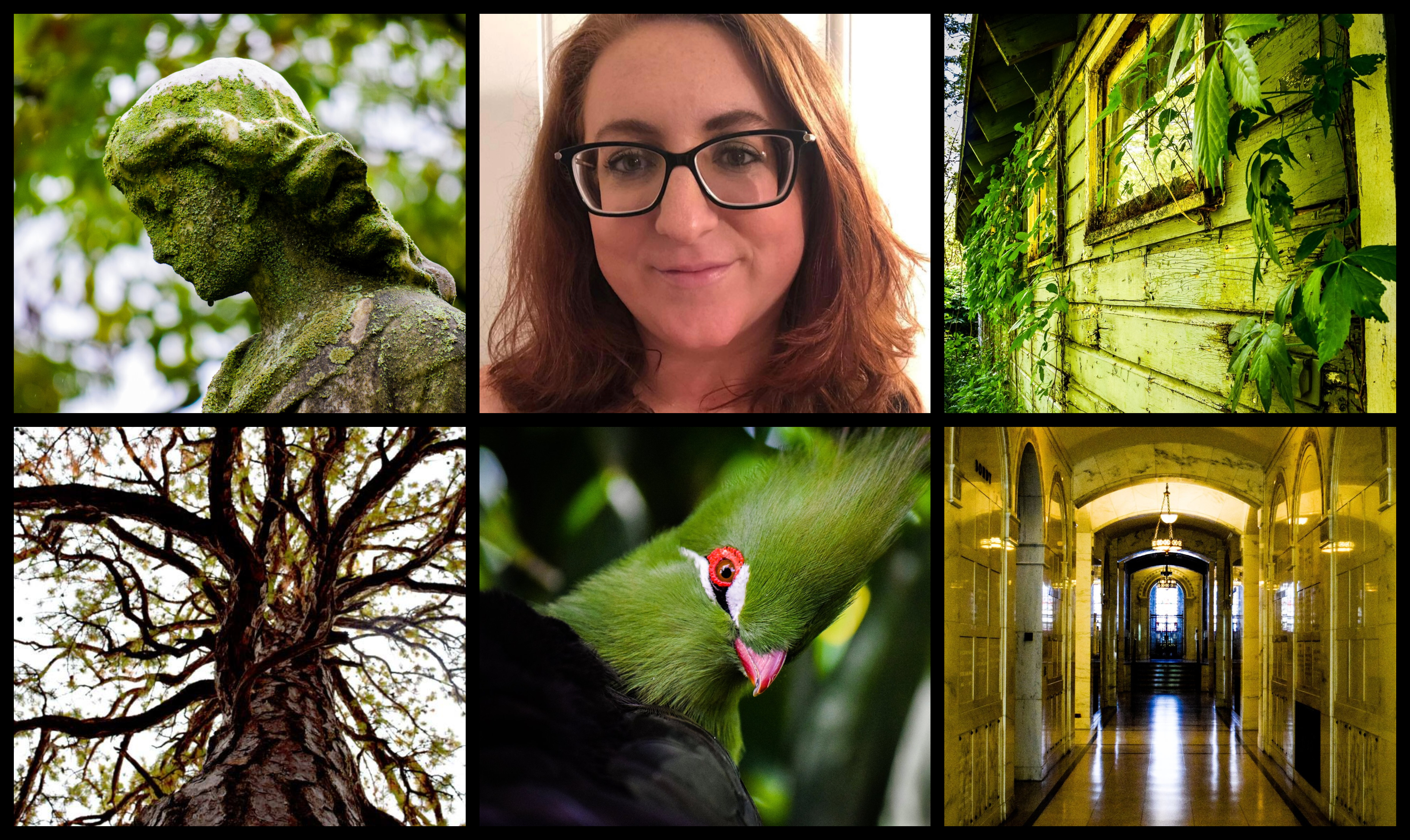 Nikki Hung’s Photography Explores The Beauty Of Forgotten Spaces