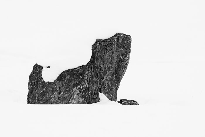 Rock formation in snow from the 2024 Nature Photography Contest showcasing impressive natural scenery.