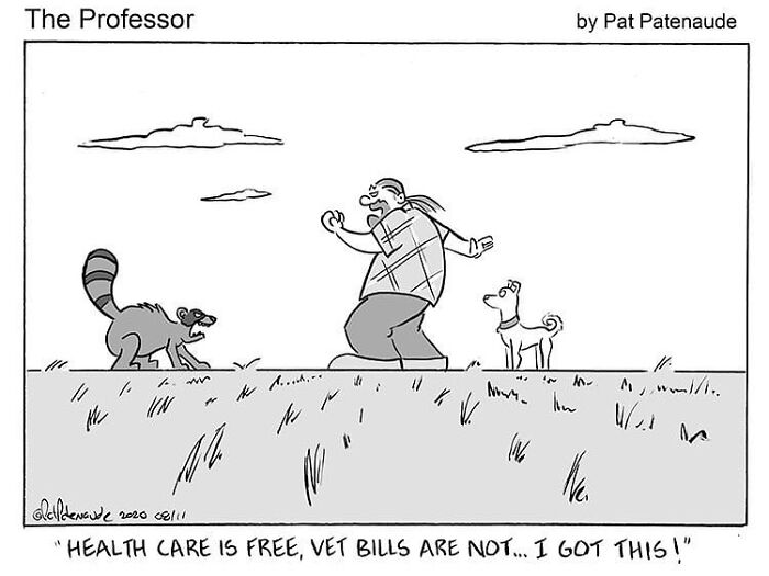 Cartoonist's comic: A man confidently confronts a raccoon while a dog watches, humor highlighting free healthcare vs. vet bills.