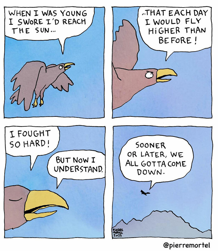 Comic by Pierre Mortel: A bird reflects on youthful ambition and the inevitability of coming down.