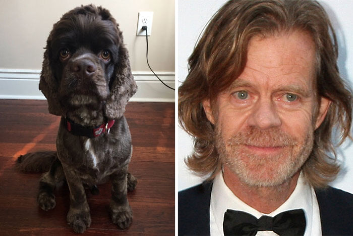William H. Macy And Hazel
