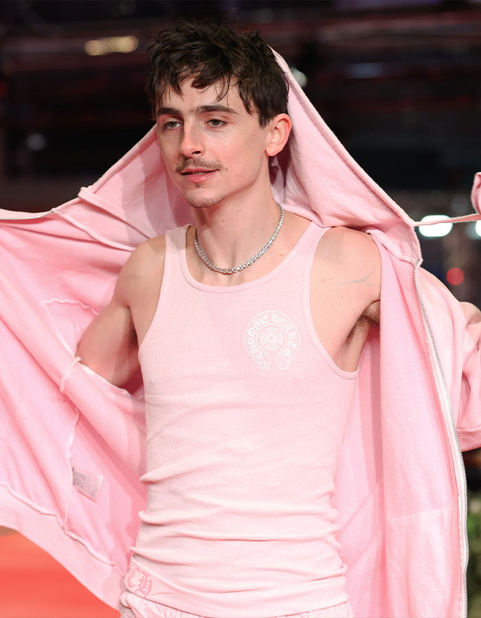 Timothée Chalamet in a pink outfit on a Valentine's Day red carpet event. Timothée Chalamet in a pink outfit on a Valentine's Day red carpet event.
