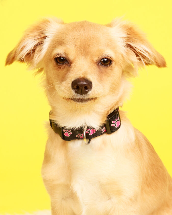 Every Bite You Take... I'll Be Watching You Every Bite You Take... I'll Be Watching You