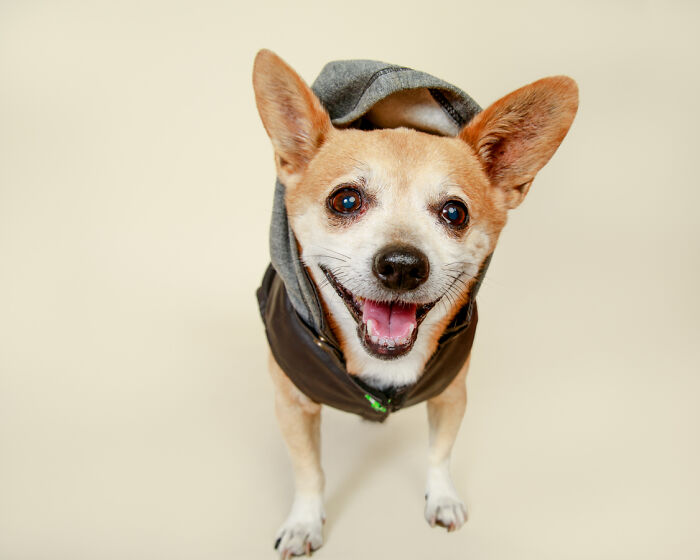 I Am Up To No Mischief!