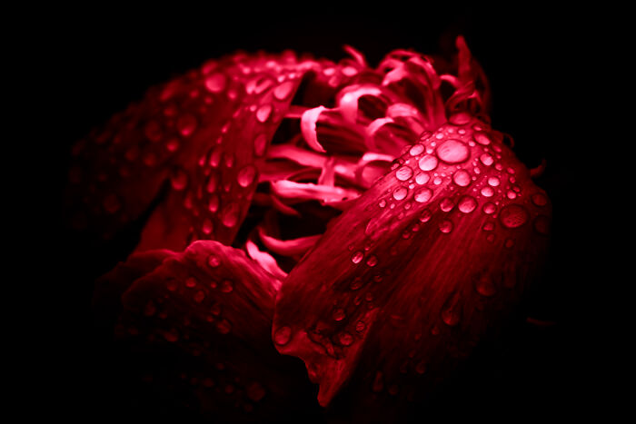 "Abstraction" By Dean Lhospital