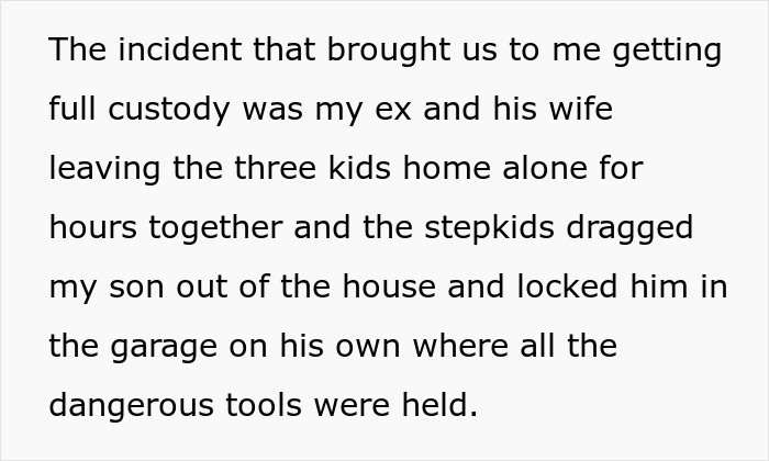 Text describing a custody incident involving a mother, her son, and stepsiblings. Text describing a custody incident involving a mother, her son, and stepsiblings.
