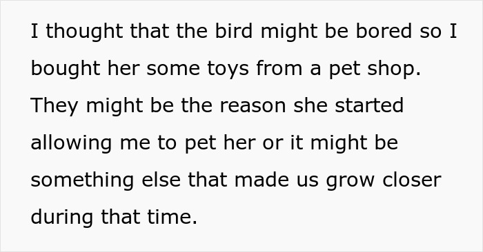 Text about a person's efforts to improve bond with a parrot using toys from a pet shop. Text about a person's efforts to improve bond with a parrot using toys from a pet shop.