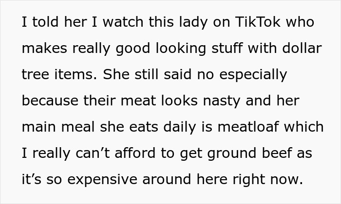 Text about offering groceries from Dollar Tree, discussing TikTok crafts and concerns about meat quality and expense. Text about offering groceries from Dollar Tree, discussing TikTok crafts and concerns about meat quality and expense.