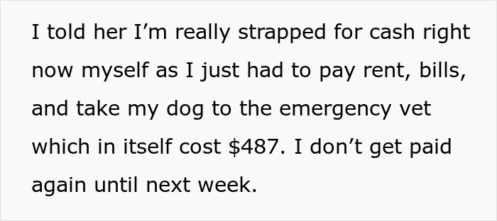 Text describes financial struggles, mentioning expenses and delayed paycheck related to groceries. Text describes financial struggles, mentioning expenses and delayed paycheck related to groceries.