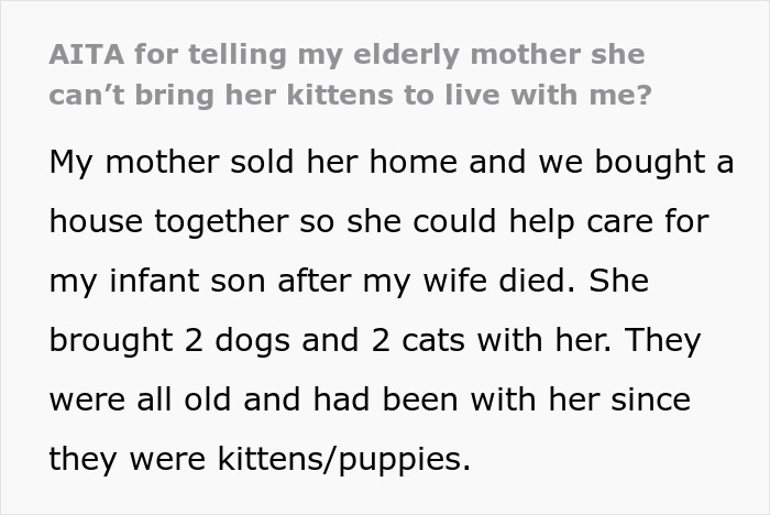 Text about a son's allergy to cats and a mother's insistence on bringing pets despite it. Text about a son's allergy to cats and a mother's insistence on bringing pets despite it.