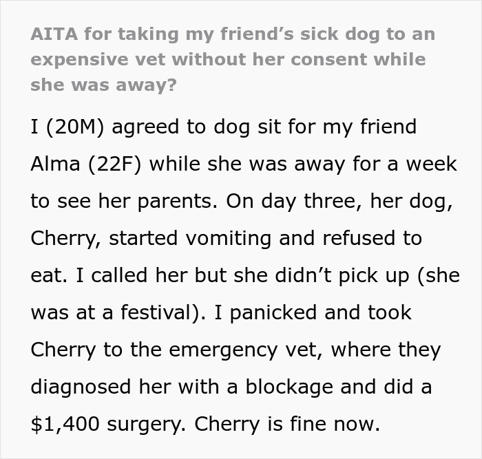 Text discussing a friend's dog being taken to an expensive vet while the owner was away. Text discussing a friend's dog being taken to an expensive vet while the owner was away.