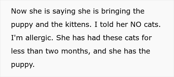 Text showing a disagreement over bringing cats despite son's allergies. Text showing a disagreement over bringing cats despite son's allergies.