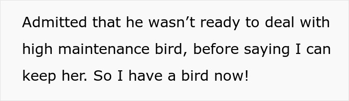 Text expressing feelings about becoming a parrot owner after sibling drama. Text expressing feelings about becoming a parrot owner after sibling drama.