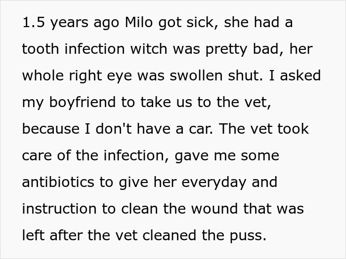 Text detailing a woman's nightmare trip after her dog Milo got sick with a tooth infection. Text detailing a woman's nightmare trip after her dog Milo got sick with a tooth infection.