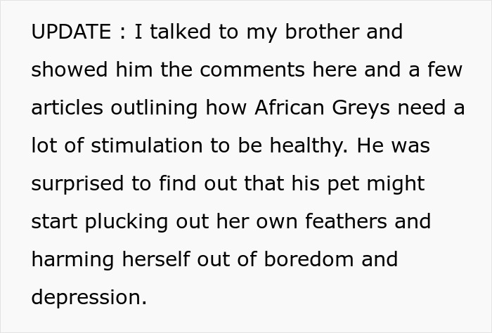 Text discussing African Greys needing stimulation to avoid boredom and depression, surprising a pet owner. Text discussing African Greys needing stimulation to avoid boredom and depression, surprising a pet owner.
