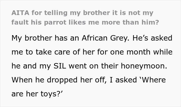 Text conversation about a parrot preferring one sibling over the other, highlighting pet parenting issues. Text conversation about a parrot preferring one sibling over the other, highlighting pet parenting issues.