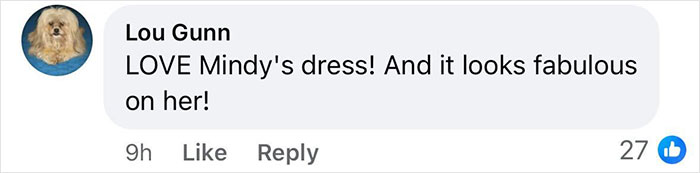 Comment praising Mindy Kaling's dress and appearance at a premiere on social media. Comment praising Mindy Kaling's dress and appearance at a premiere on social media.