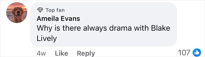 Comment questioning Blake Lively drama, with 107 likes and a top fan badge. Comment questioning Blake Lively drama, with 107 likes and a top fan badge.