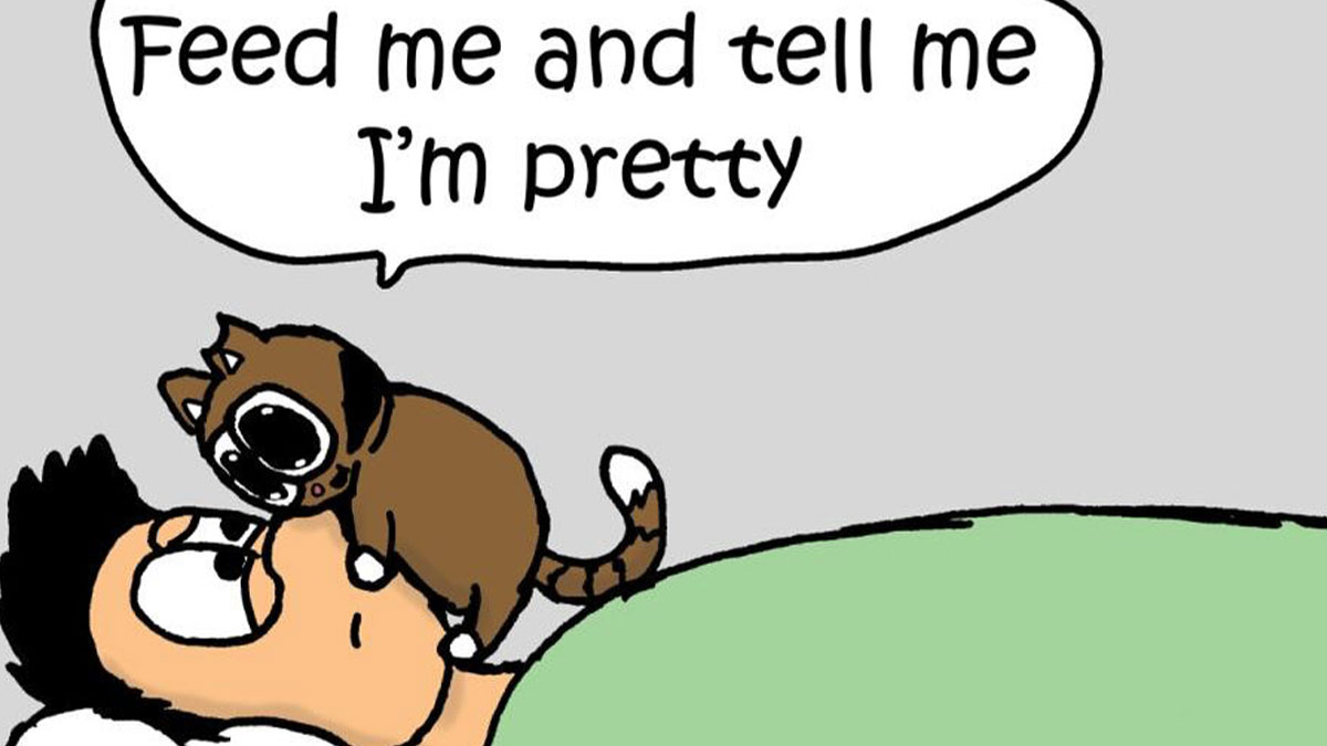 Cat comic by Nick Filippou showing a cat demanding food and compliments while sitting on a person's face.