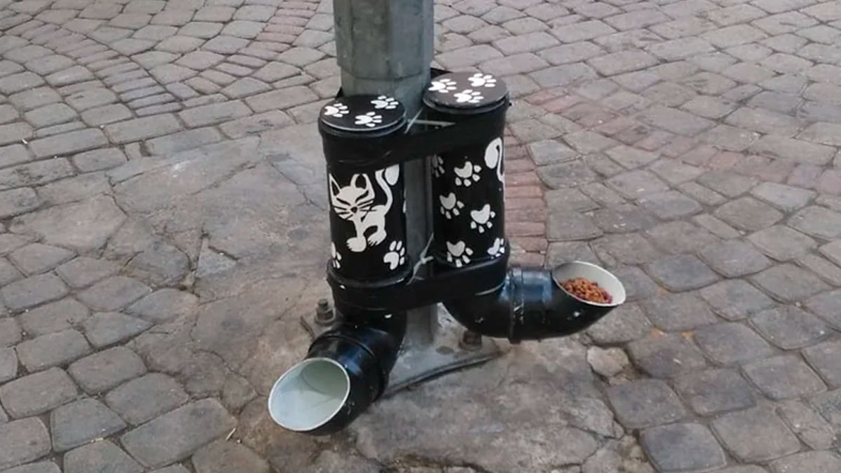 “These Public Benches Are Reversible”: 50 Of The Coolest Features People Have Seen In Cities