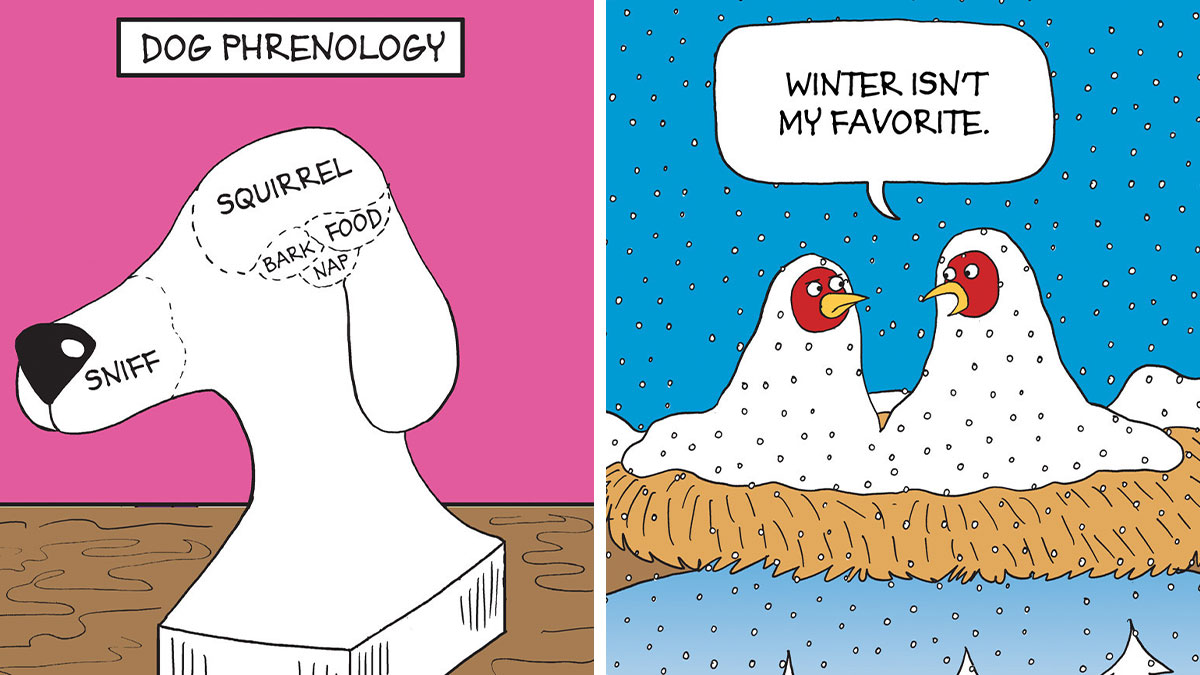 23 Hilarious Comics Featuring Funny Characters And Absurd Situations By This Artist (New Pics)