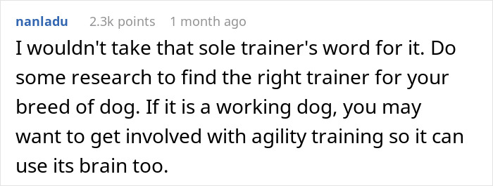 Comment about finding the right dog trainer and agility training for untrainable dogs. Comment about finding the right dog trainer and agility training for untrainable dogs.