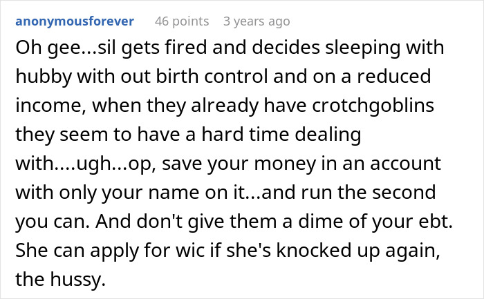 Text screenshot discussing financial advice and family responsibilities related to babysitting. Text screenshot discussing financial advice and family responsibilities related to babysitting.