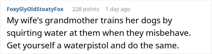User comment about grandmother training dogs with a water pistol for misbehavior. User comment about grandmother training dogs with a water pistol for misbehavior.