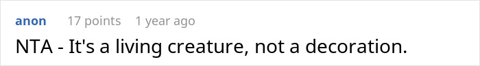 Comment about a pet parrot emphasizing it's a living creature, not a decoration. Comment about a pet parrot emphasizing it's a living creature, not a decoration.