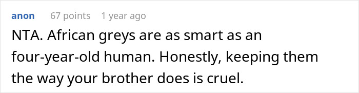 Reddit comment about African grey parrots, mentioning their intelligence and criticizing poor pet care. Reddit comment about African grey parrots, mentioning their intelligence and criticizing poor pet care.