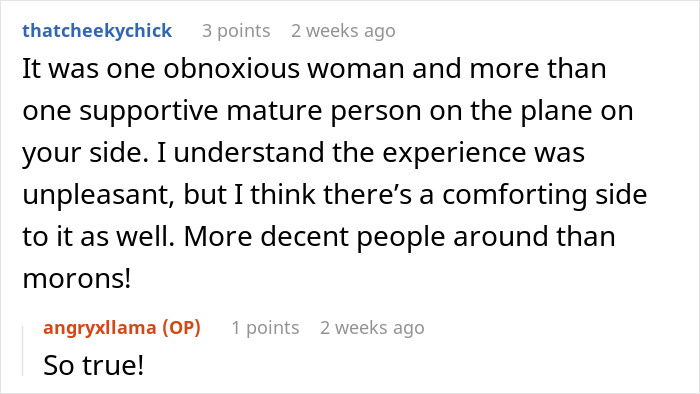 Reddit comments discussing an experience with an obnoxious woman on a plane and supportive passengers. Reddit comments discussing an experience with an obnoxious woman on a plane and supportive passengers.