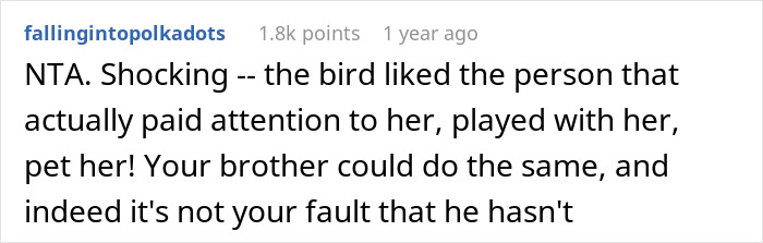 Comment discussing parrot preferring sibling over owner due to attention and care. Comment discussing parrot preferring sibling over owner due to attention and care.