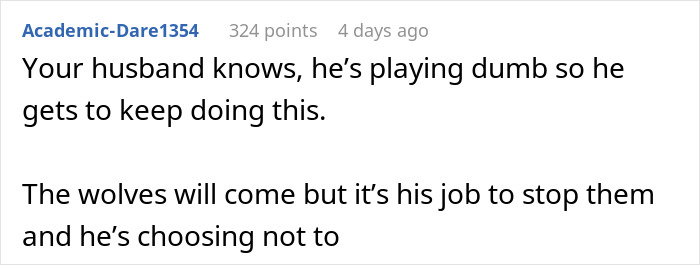 Online comment discussing husband's behavior towards 'work wife' situation. Online comment discussing husband's behavior towards 'work wife' situation.