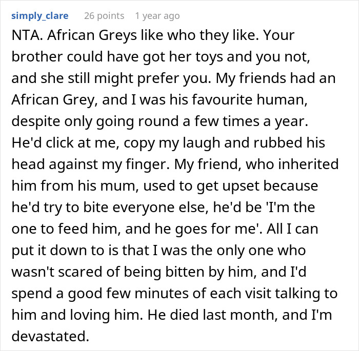 Text discusses African Greys choosing favorite humans, causing frustration for a pet owner. Text discusses African Greys choosing favorite humans, causing frustration for a pet owner.