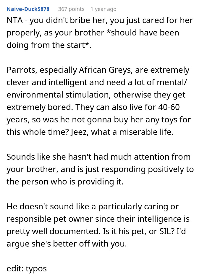 Reddit comment discussing responsible pet parenting regarding parrot care and stimulation. Reddit comment discussing responsible pet parenting regarding parrot care and stimulation.