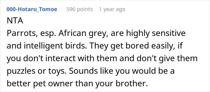 Comment discussing that parrots prefer attentive pet parents, mentioning African grey parrots' need for stimulation. Comment discussing that parrots prefer attentive pet parents, mentioning African grey parrots' need for stimulation.