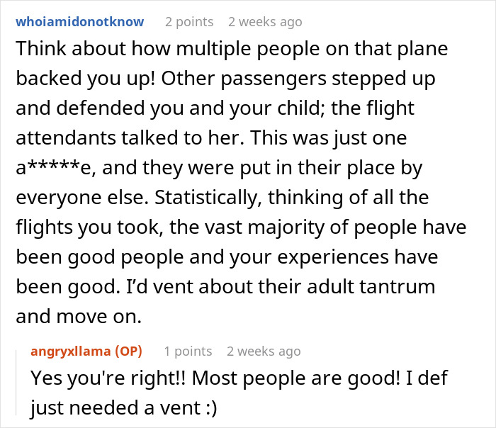 Text exchange discussing how a plane's passengers defended a mom against an angry lady. Text exchange discussing how a plane's passengers defended a mom against an angry lady.