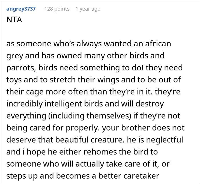 User comment discussing neglectful parrot pet parent and advice on bird care. User comment discussing neglectful parrot pet parent and advice on bird care.