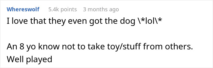 Reddit comment discussing kids looting a house humorously, mentioning a dog and toys. Reddit comment discussing kids looting a house humorously, mentioning a dog and toys.