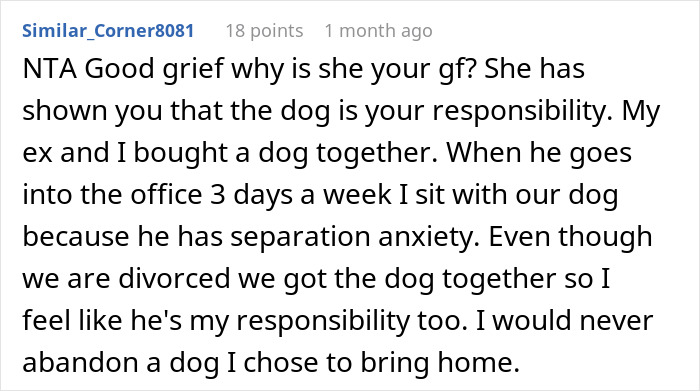 Reddit comment discussing responsibility for an untrainable dog and commitment despite challenges. Reddit comment discussing responsibility for an untrainable dog and commitment despite challenges.