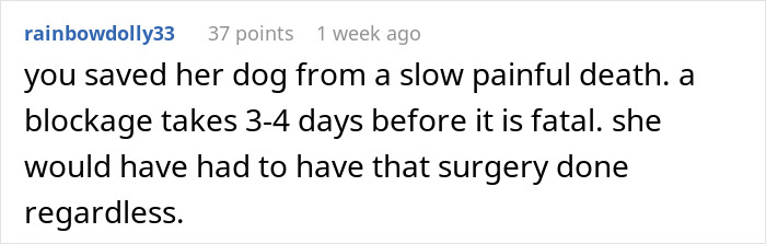 Comment on vet advice about dog surgery and blockage. Comment on vet advice about dog surgery and blockage.