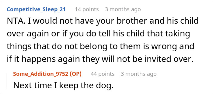 Reddit comment emphasizing boundaries with brother's child; response mentions keeping the dog. Reddit comment emphasizing boundaries with brother's child; response mentions keeping the dog.