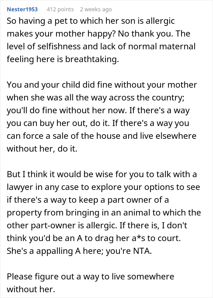 Comment discussing son's allergy to cats and mom's insistence on keeping them, suggesting legal action. Comment discussing son's allergy to cats and mom's insistence on keeping them, suggesting legal action.