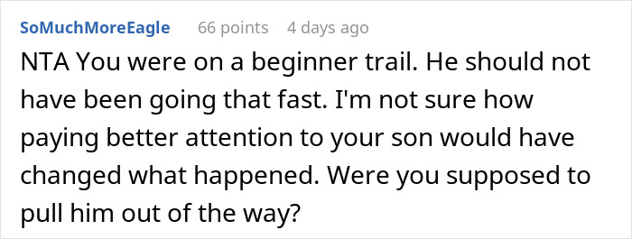 Reddit comment about a skier hitting an 11-year-old on a beginner trail, discussing responsibility. Reddit comment about a skier hitting an 11-year-old on a beginner trail, discussing responsibility.