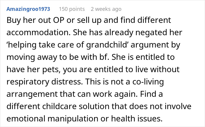 Reddit comment discussing conflict over cats and son's allergy, suggesting alternative childcare. Reddit comment discussing conflict over cats and son's allergy, suggesting alternative childcare.