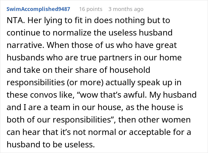 Reddit comment discussing household responsibilities and challenging the "unhelpful husband" narrative. Reddit comment discussing household responsibilities and challenging the "unhelpful husband" narrative.