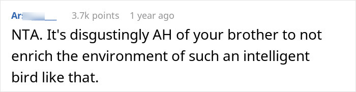 Comment criticizing pet parent for not enriching parrot's environment. Comment criticizing pet parent for not enriching parrot's environment.