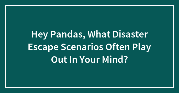 Hey Pandas, What Disaster Escape Scenarios Often Play Out In Your Mind? (Closed)
