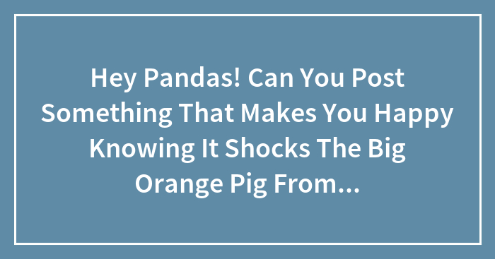 Hey Pandas! Can You Post Something That Makes You Happy Knowing It Shocks The Big Orange Pig From Animal Farm?